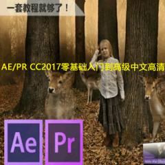 AE/PR CC2017零基础入门到高级中文高清系列影视后期视频全套教程