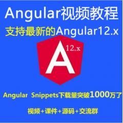 Angular教程_Angular+Antd入门实战视频教程-支持最新的Angular12.x（大地）